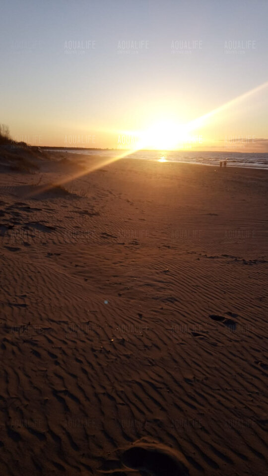 Zachód słońca nad Baltykiem - Aqualife