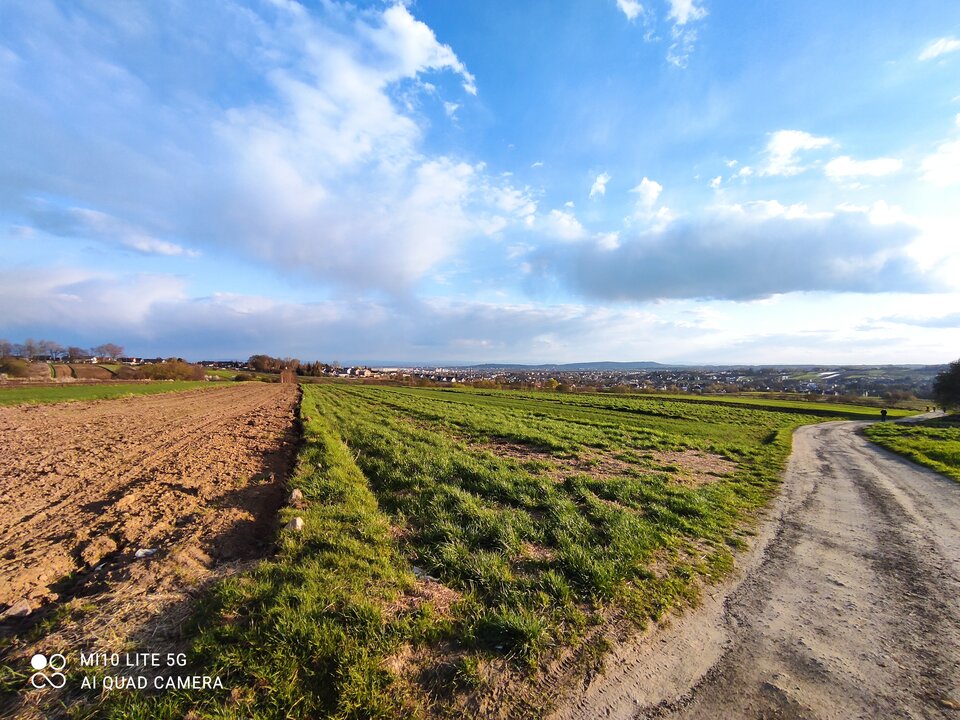 IMG_20210425_183924.jpg - MattVegass