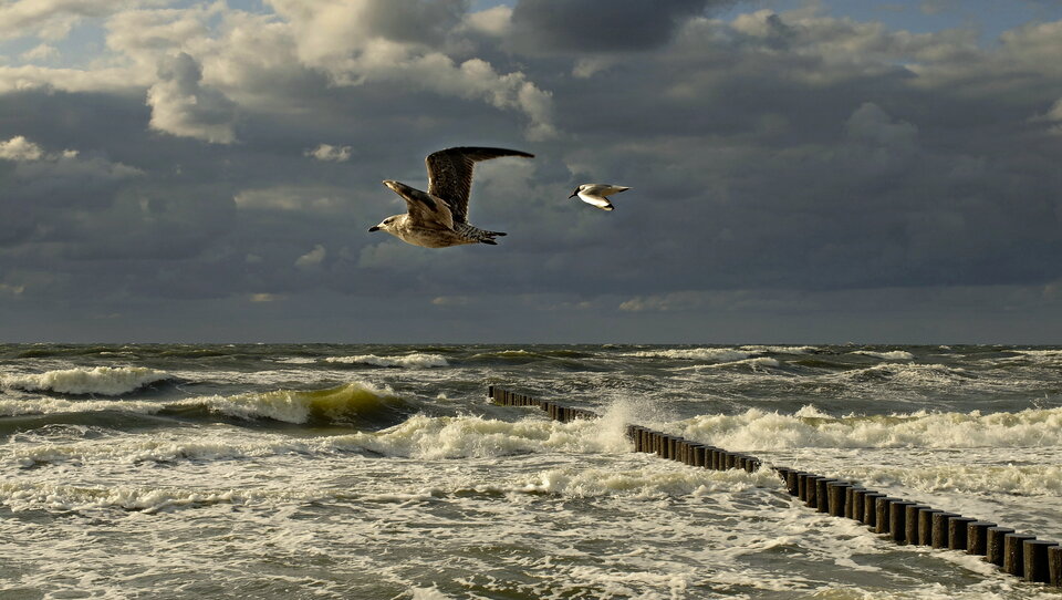 DSCF9375.JPG - primax1958