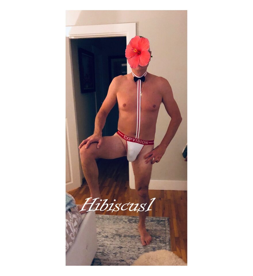 muszka.jpg - Hibiscus1