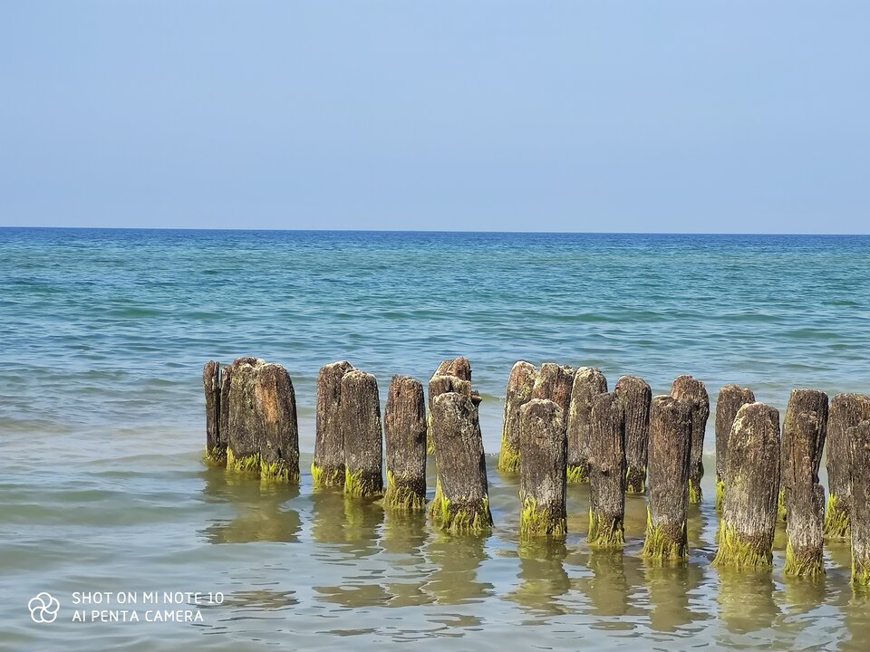 IMG_20200627_143122.jpg - Wolff39