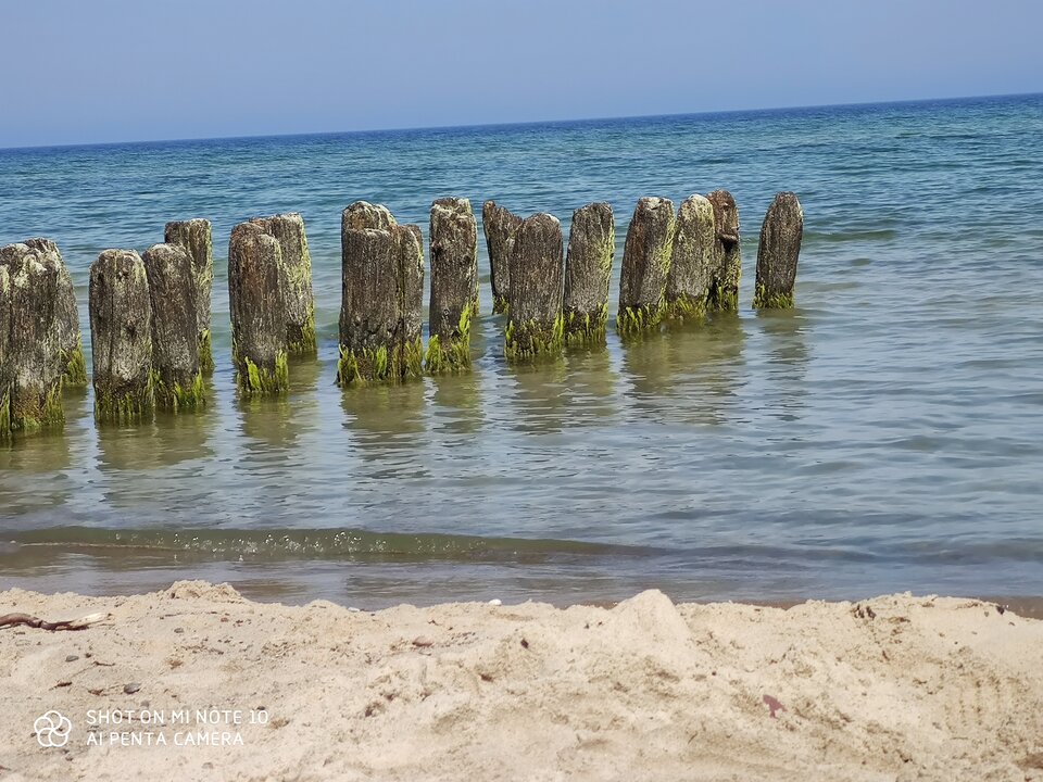 IMG_20200628_103225.jpg - Wolff39