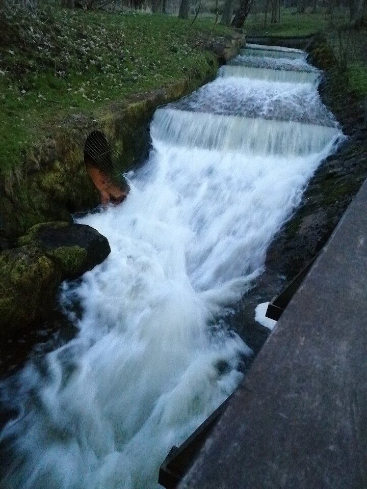 IMG_20210418_202132.jpg - Frelka_ze_wsi