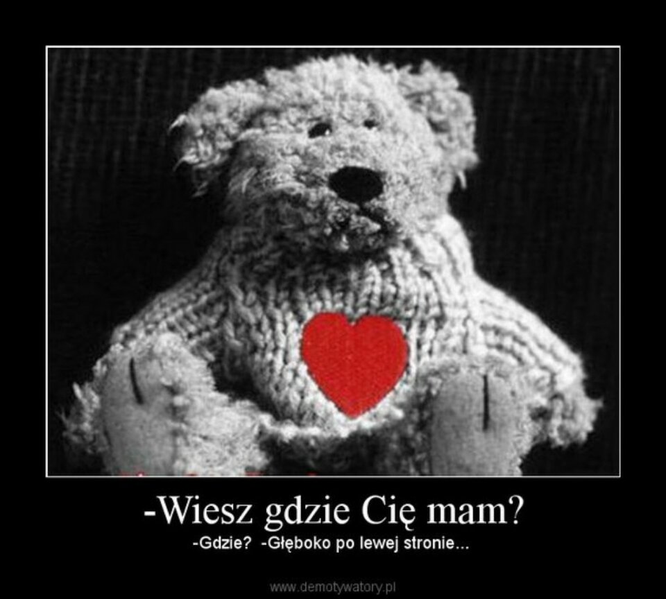 ❤️❤️❤️ - DLzakochani