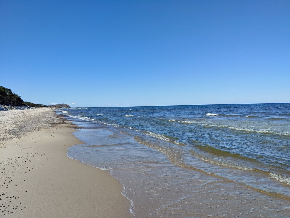 20210427_104238_HDR.jpg - bobb2