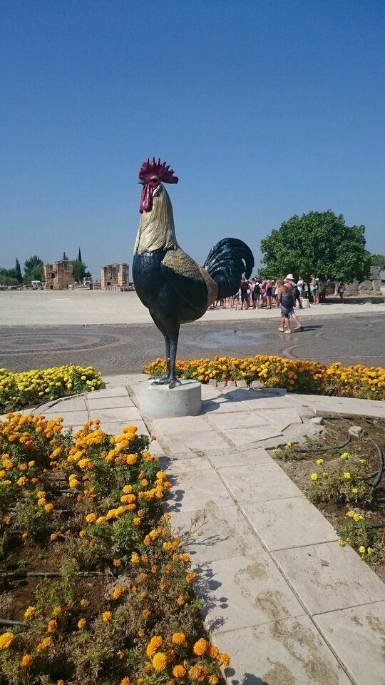 Poszukiwany:))) - Niunia109