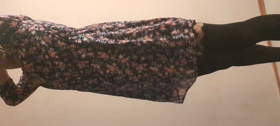 20210427_223311.jpg - Transpola