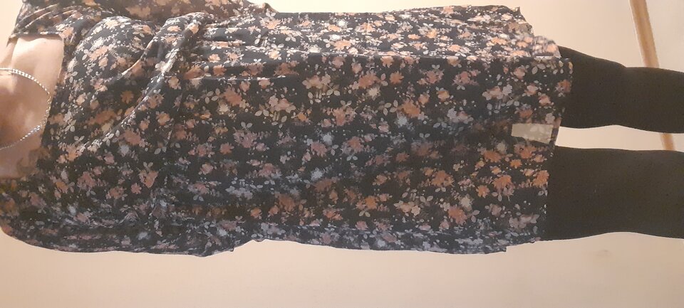 20210427_223251.jpg - Transpola