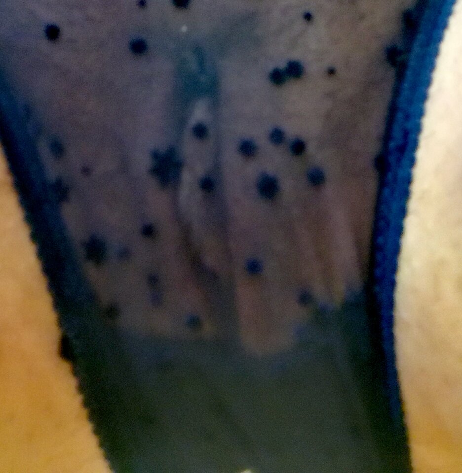 IMG_20210413_182525_edit_1345419400138973.jpg - Koteczkiiii