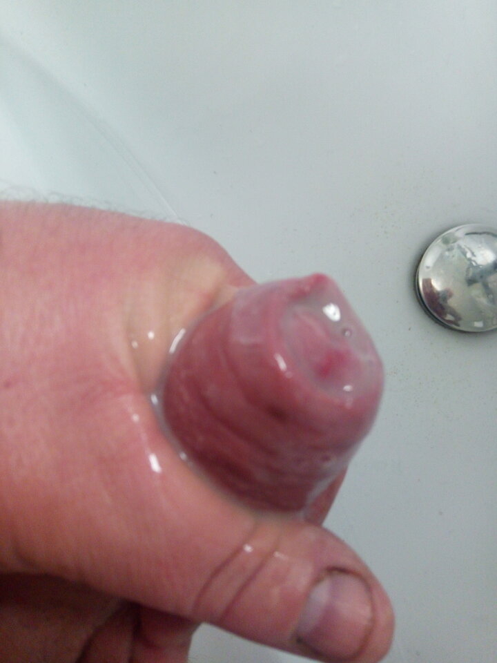 16196374329511498104814.jpg - szaa_lony