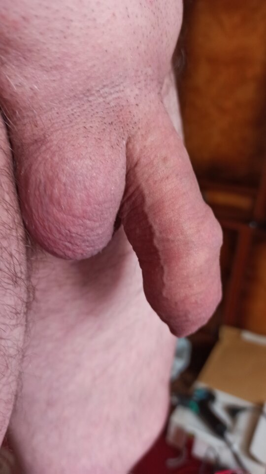 IMG_20210213_124042.jpg - artur42wawa