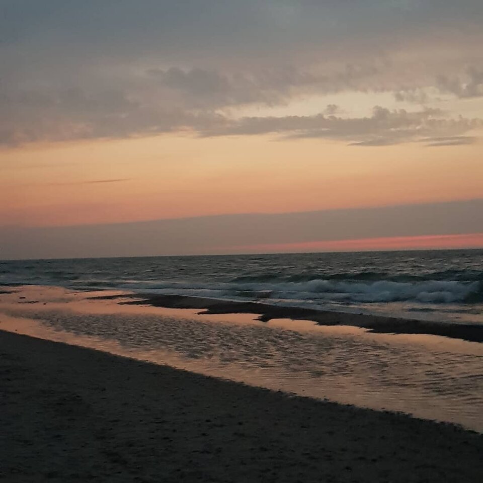 IMG_20200926_152536_822.jpg - ellis_23