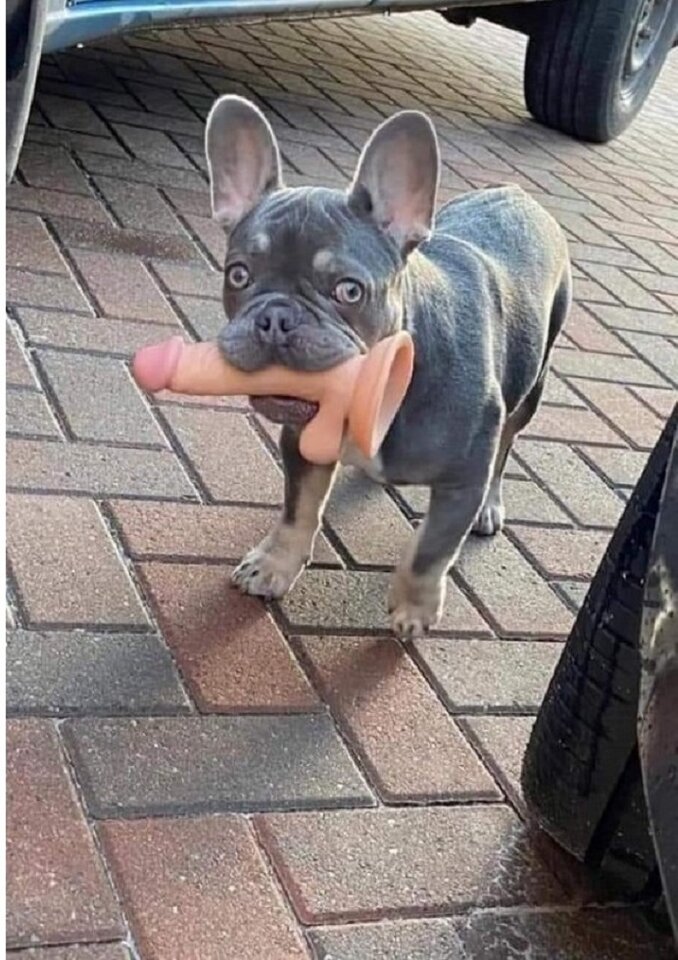 29.04.2021jpg12385309.jpg - wredota1987