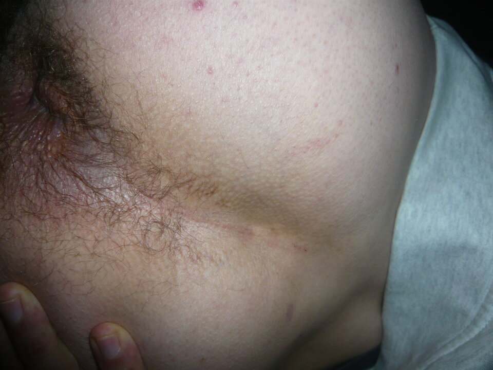 P1010433.JPG - wojtek87m