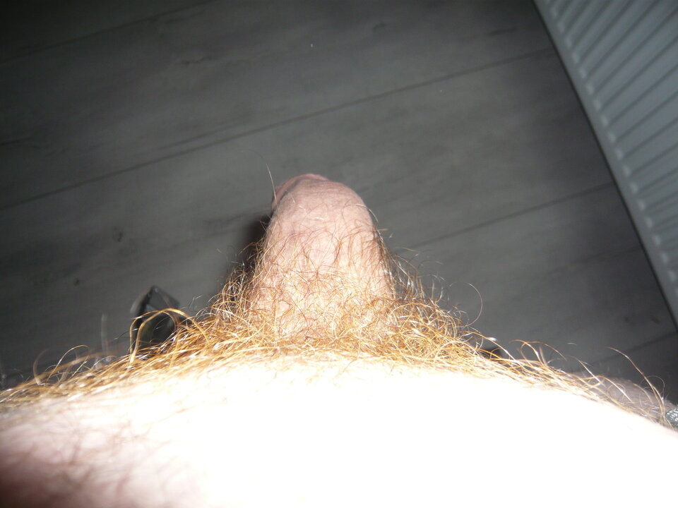 P1010432.JPG - wojtek87m