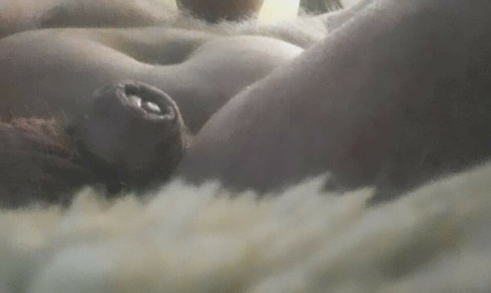 received_1088004991698414.jpeg - essman