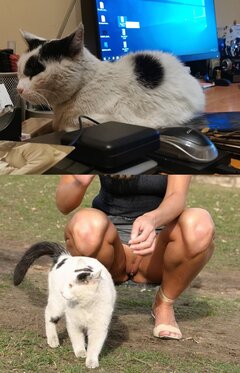 Taki widoczek wiosenny... :)