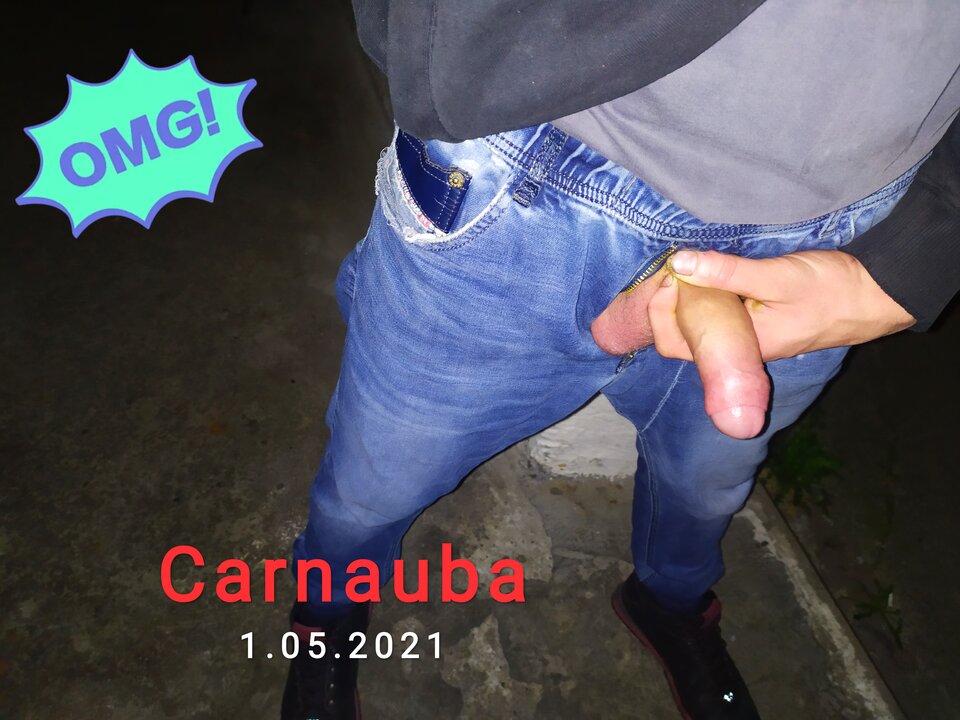 IMG_20210501_015947.jpg - Carnauba