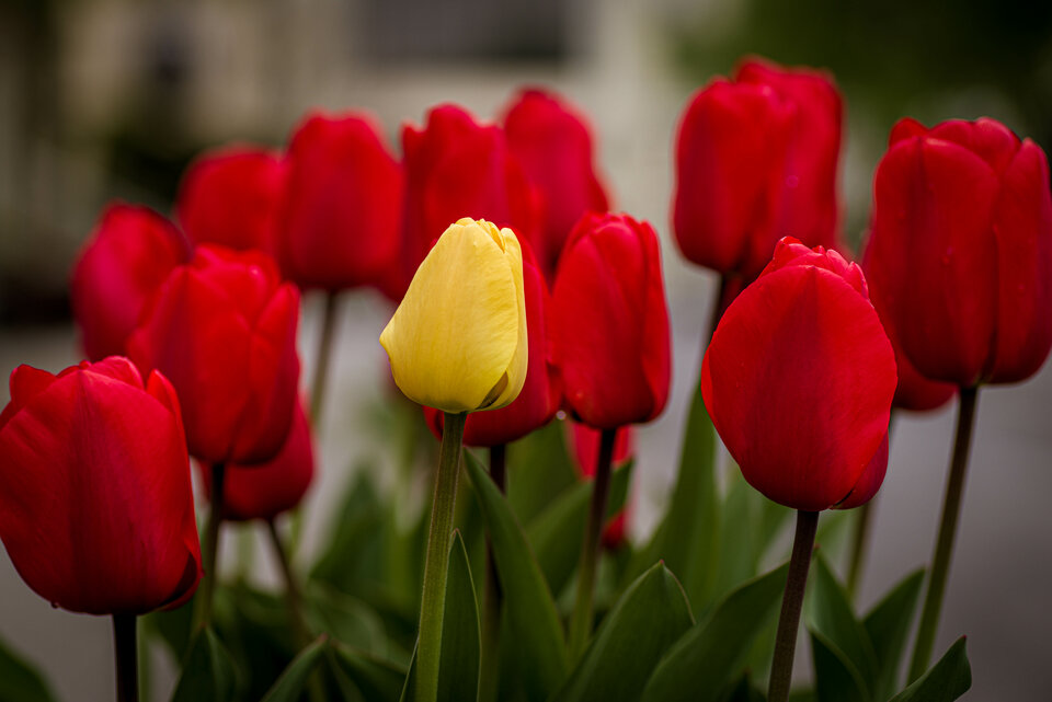 Kocham być sobą - mystic