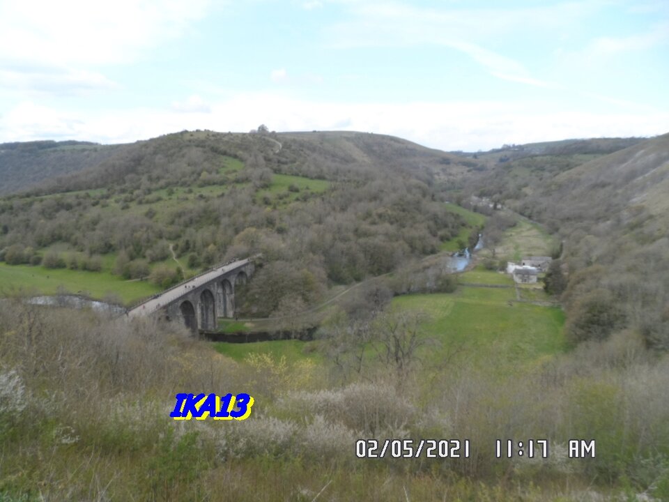 SAM_3298.JPG - ika13