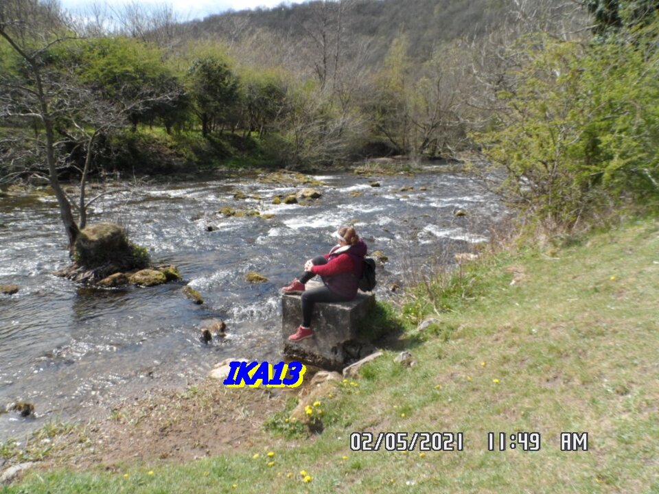 SAM_3301.JPG - ika13