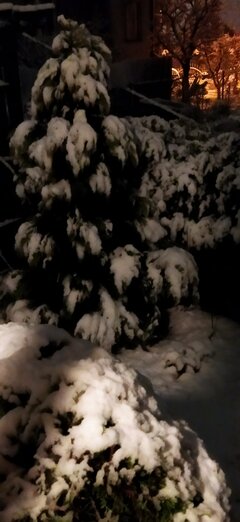 02,05,2021 to dopiero MAJÓWKA.jpg