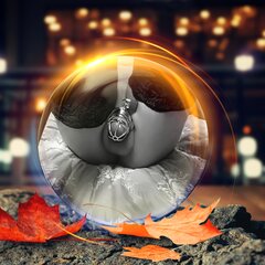 photostudio_1604124869315.jpg