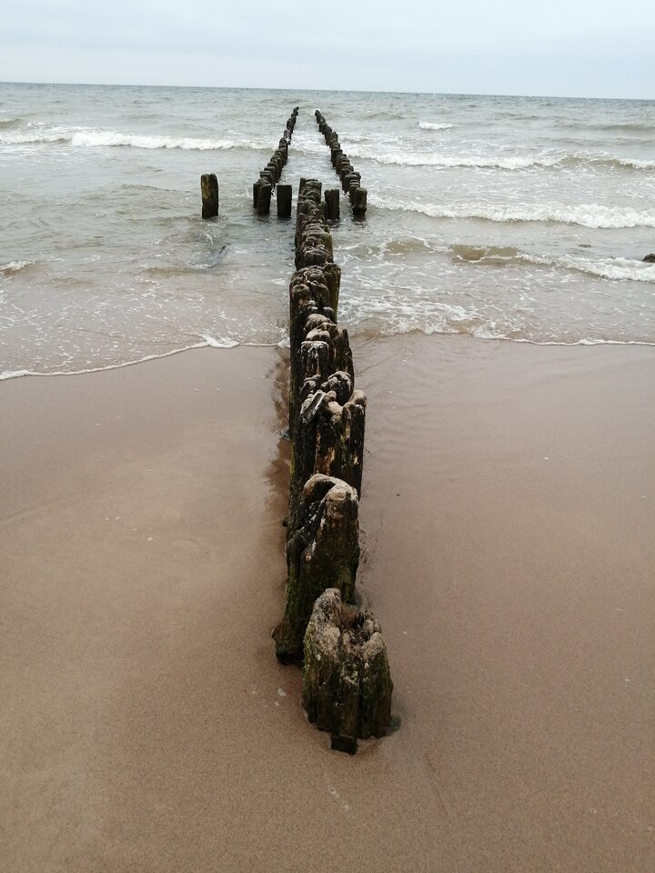 IMG_20210502_160836.jpg - Frelka_ze_wsi