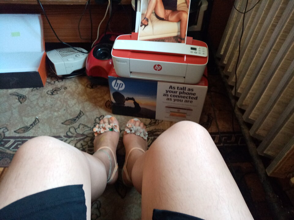 16200481311756904477927920565552.jpg - Majtkiirajstopy