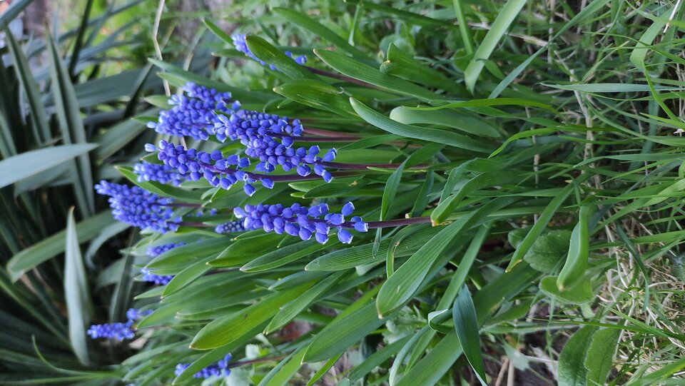 1620099921790.jpg - pcinterface