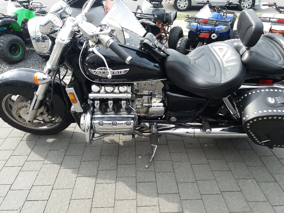 20190426_154525.jpg - Piterrrrrrr