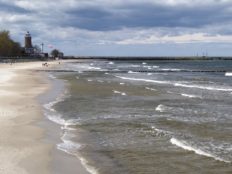 IMG_20210505_122234.jpg - Olsonek