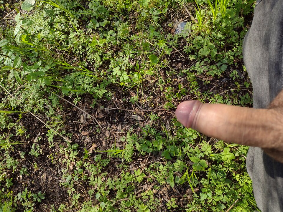 IMG_20210506_162809592_HDR.jpg - jan2121