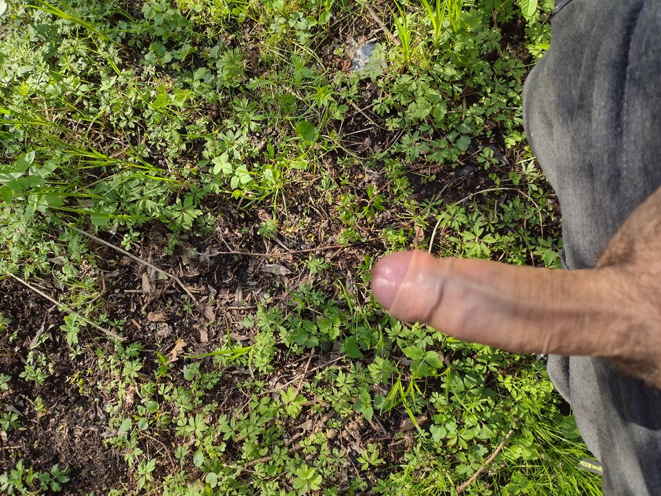 IMG_20210506_162823827_HDR.jpg - jan2121