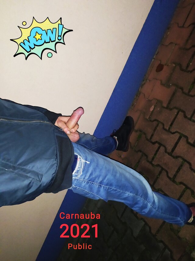 Carnauba