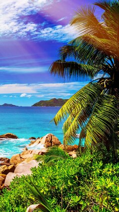 magazine-unlock-01-2.3.5522-_3B3F2870103C6BDE5DCC5681E5D06313.jp