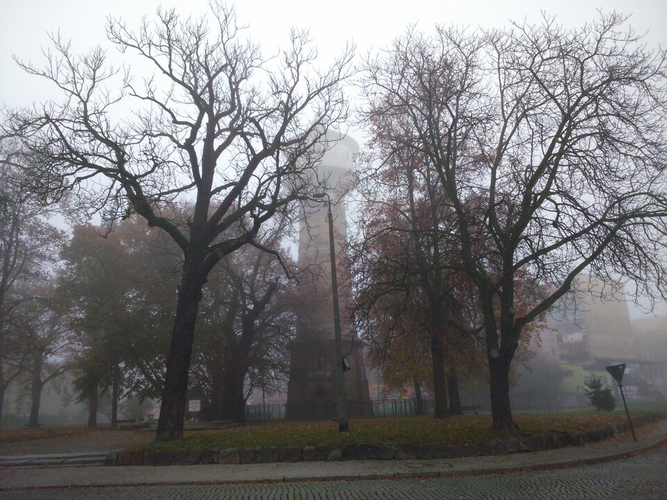 DSC_0068.JPG - roger_ouver