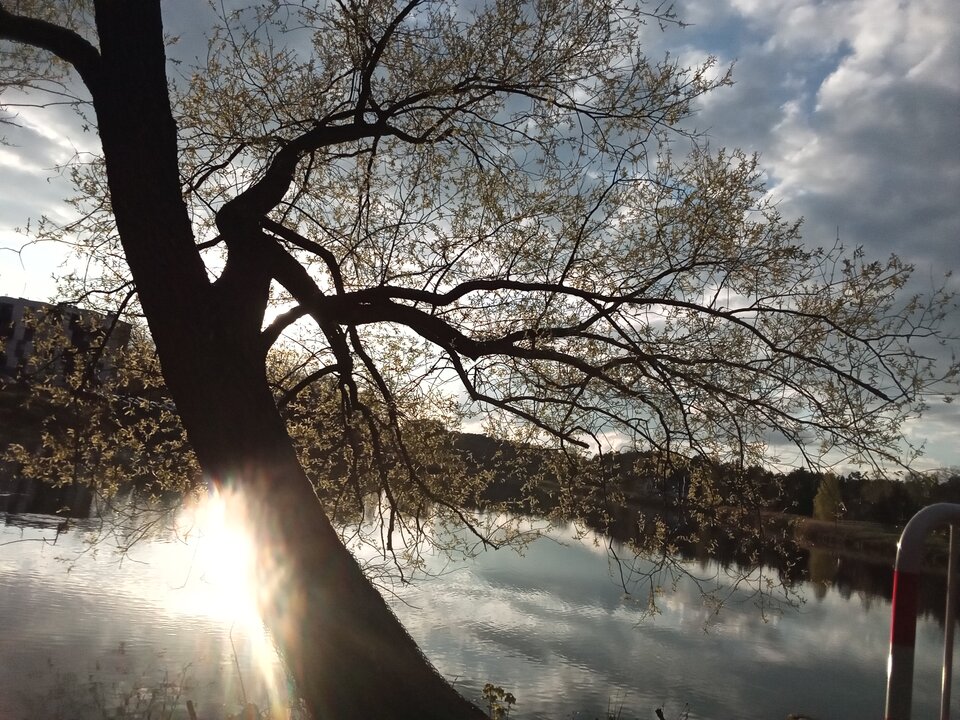 Z innej beczki 🙂 - Ina69