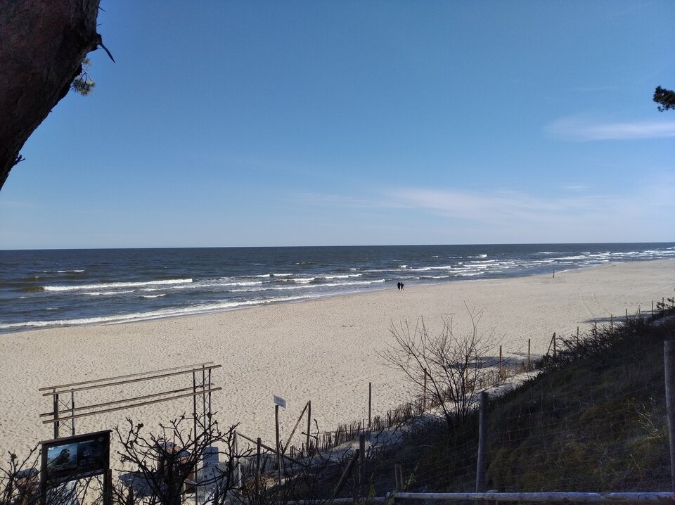 IMG_20210501_094755.jpg - lubiacycycusie