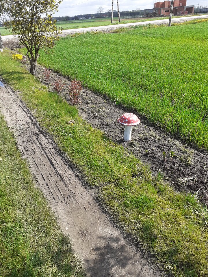 20210508_093149.jpg - hypns