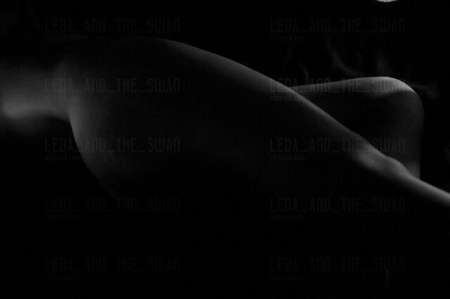 Leda_and_the_Swan