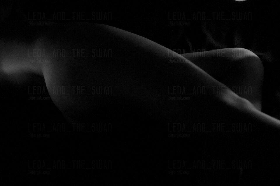 DSC_5795_3.JPG - Leda_and_the_Swan