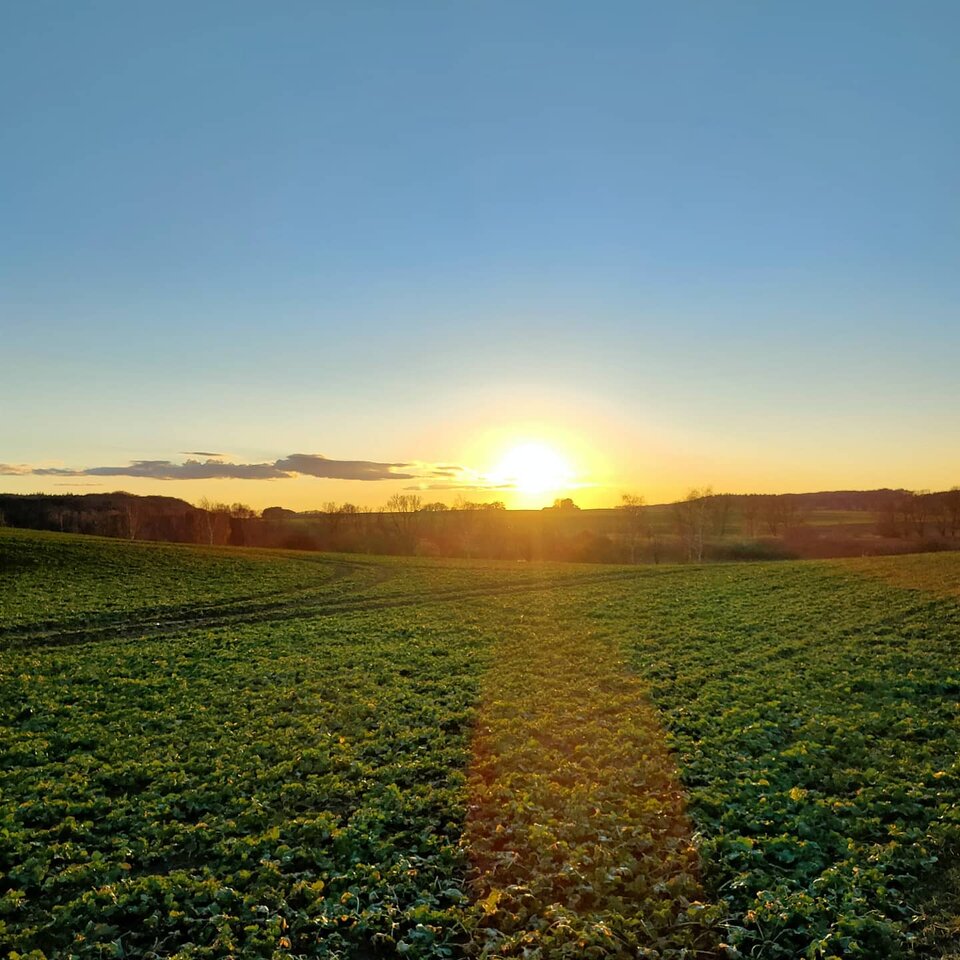 IMG_20210305_184146_578.jpg - Kolega_ze_zbiornika