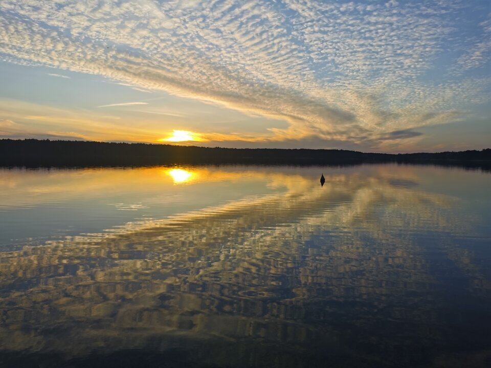 IMG_20210508_201525.jpg - adam1508