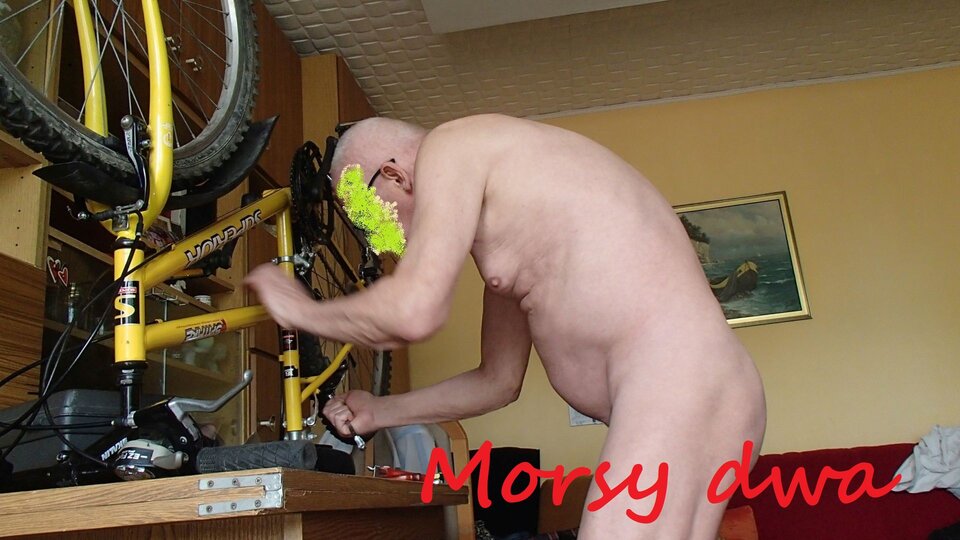 Zbiornik 1502 - Morsy_dwa