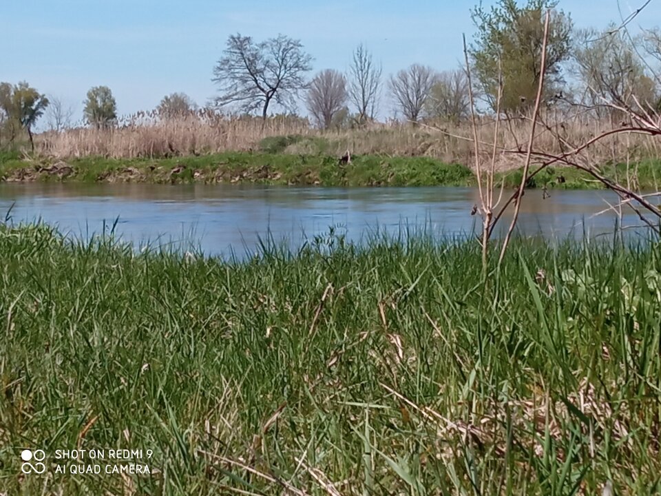 IMG_20210509_143020.jpg - Piotrtor1