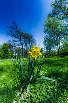 Bo kwiotek być musi ;)