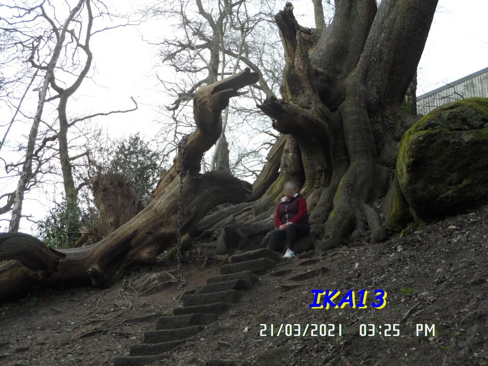 SAM_3224.JPG - ika13