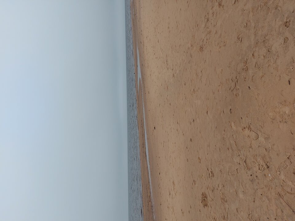 20210414_123127.jpg - Michunnnnnnn