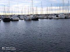 IMG_20201004_171659.jpg